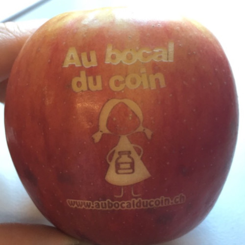 BocalDuCoin_1