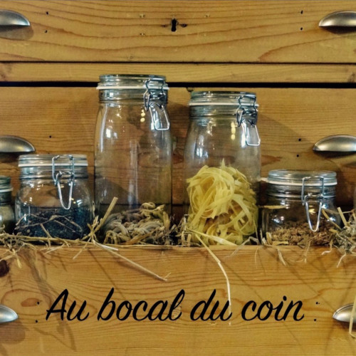 BocalDuCoin_2